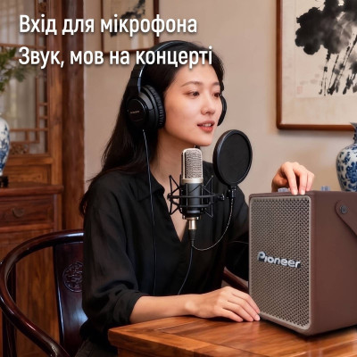 Колонка PIONEER LA-ST1001BL 100W Коричневый (11681) Колонка PIONEER LA-ST1001BL 100W Коричневый (11681)