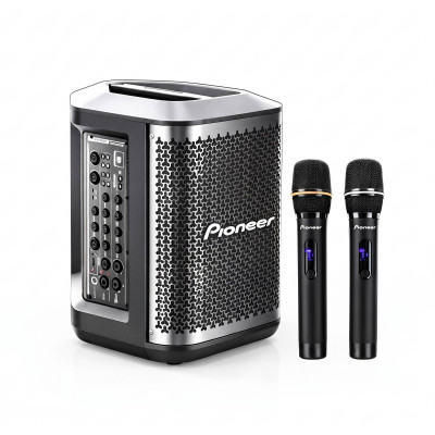 Колонка PIONEER LA-KP8001BL-MK808pro 420W Чорний (11683)
