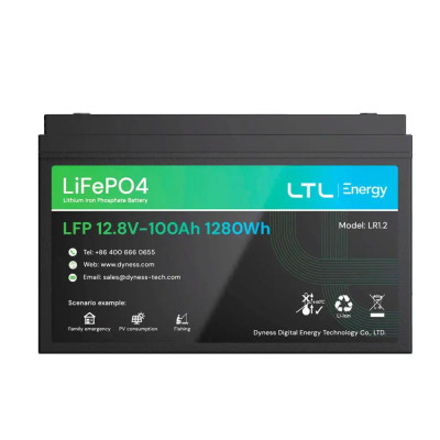Аккумуляторная батарея Dyness LiFePO4 LR1.2 12.8V/100Аh 1.28kWh Black (14448)