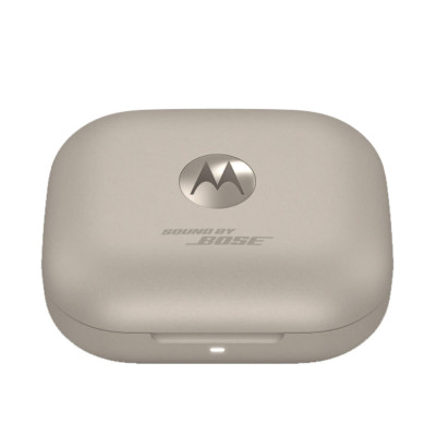 Motorola Moto Buds+ Forest Grey (PG38C05743)