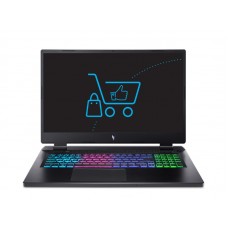 Acer Nitro 17 AN17-42 (NH.QSCEP.001)