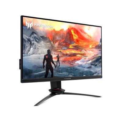 Acer Predator XB273UZBMIIPRUZX (UM.HX3EE.Z05)