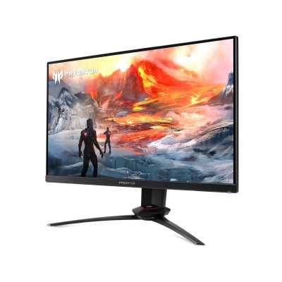 Acer Predator XB273UZBMIIPRUZX (UM.HX3EE.Z05)