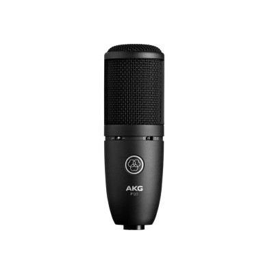 AKG P120