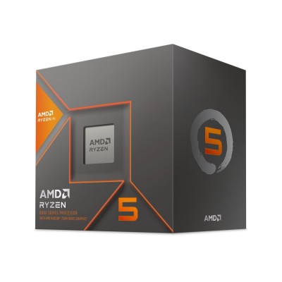 AMD Ryzen 5 8600G (100-100001237BOX)
