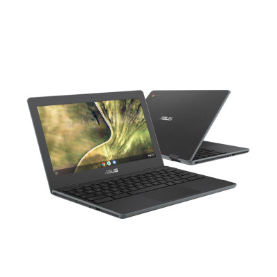 ASUS ChromeBook C204MA (C204MA-GJ0455)