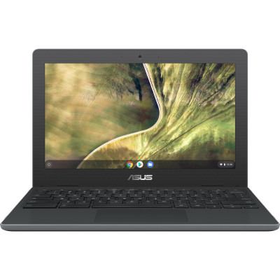 ASUS ChromeBook C204MA (C204MA-GJ0455)