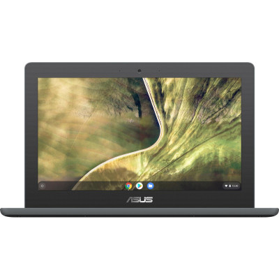 ASUS ChromeBook C204MA  (C204MA-BU0535)