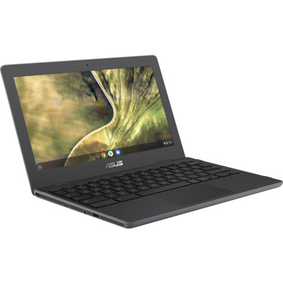 ASUS ChromeBook C204MA  (C204MA-BU0535)
