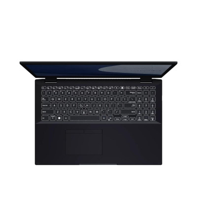 ASUS ExpertBook B2502CBA (B2502CBA-BQ0084X)