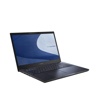 ASUS ExpertBook B2502CBA (B2502CBA-BQ0084X)