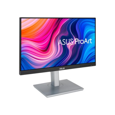 ASUS PA247CV Black (90LM03Y1-B01370)