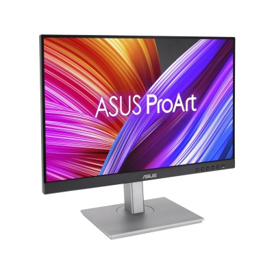 ASUS ProArt Display PA248CNV (90LM05K1-B03370)