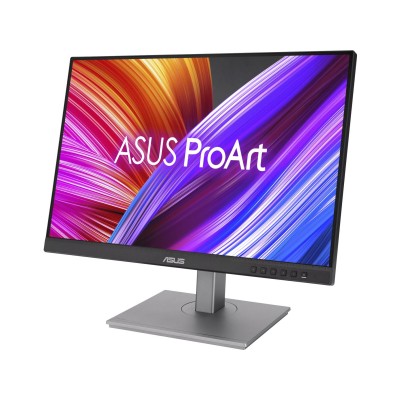 ASUS ProArt Display PA248CNV (90LM05K1-B03370)