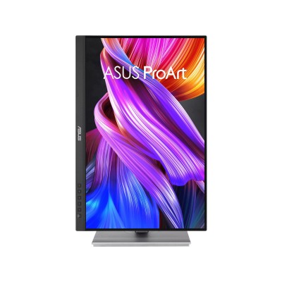 ASUS ProArt Display PA248CNV (90LM05K1-B03370)