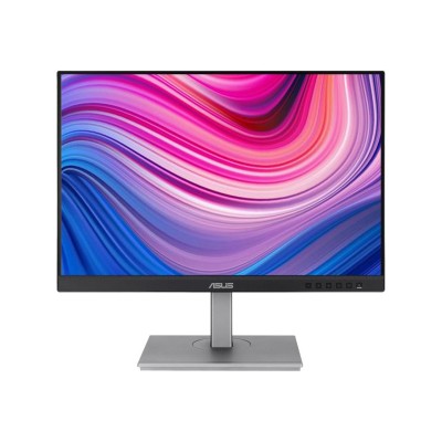 ASUS ProArt Display PA248CNV (90LM05K1-B03370)