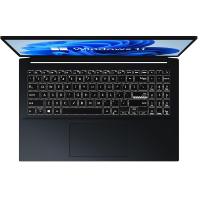 ASUS Vivobook Pro 15 (D6500QC-L1133W)
