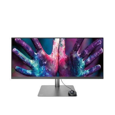 BenQ PD3420Q (9H.LJHLB.QPE)