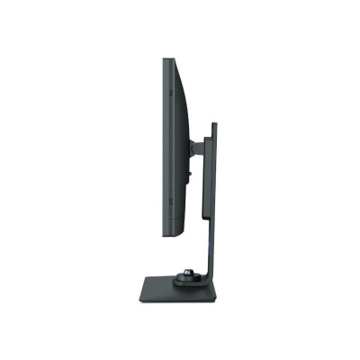 BenQ SW321C Grey (9H.LJ1LB.QBE, 9H.LJ1LB.QPE)