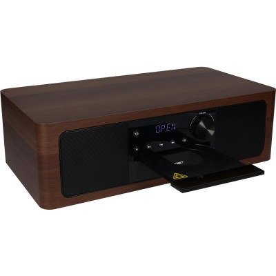 Blaupunkt MS22BT