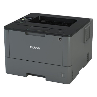 Brother HL-L5100DN (HLL5100DNYJ1)
