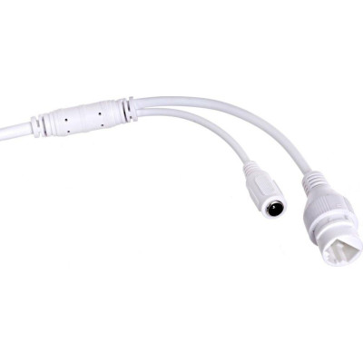 Dahua Lite HDW2439T