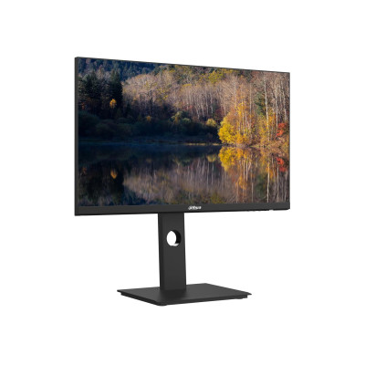 Dahua LM24-P301A