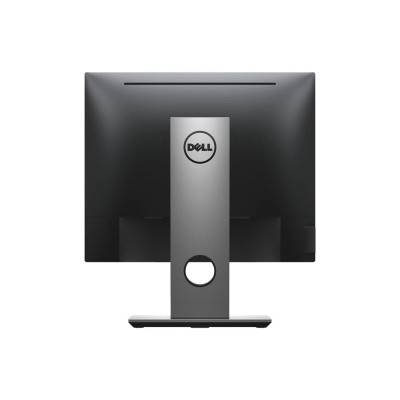Dell P1917S (210-AJBG)
