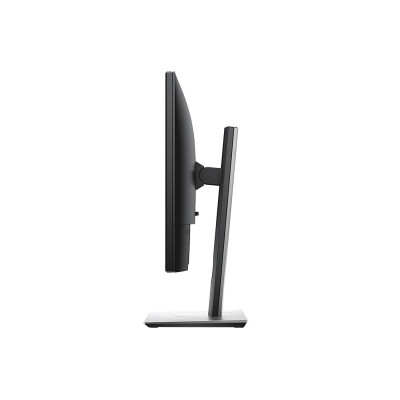Dell P1917S (210-AJBG)