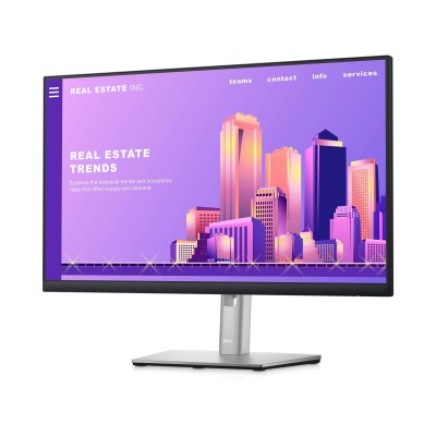 Dell P2422H (210-AZYX)