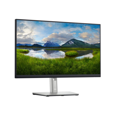 Dell P2422HE (210-BBBG)