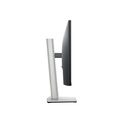 Dell P2422HE (210-BBBG)