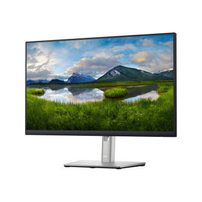 Dell P2422HE (210-BBBG)