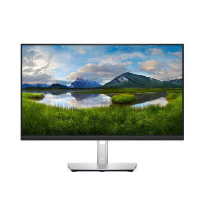 Dell P2422HE (210-BBBG)
