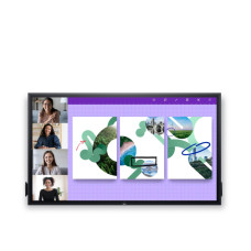 Dell P8624QT