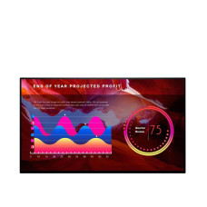 Dell U2422HWOS (210-AZMZ)