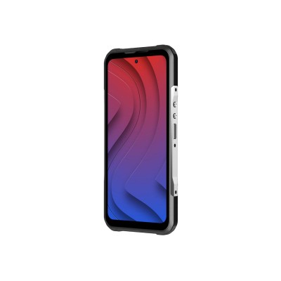 DOOGEE V20 Pro 12/256GB Silver