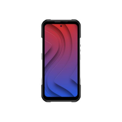DOOGEE V20 Pro 12/256GB Silver