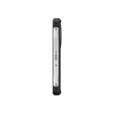 DOOGEE V31 GT 12/256GB Silver