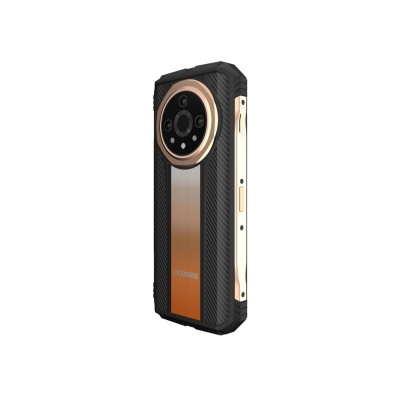 DOOGEE V31 GT 12/256GB Gold
