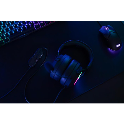 Silver Monkey X Teion wired headphones