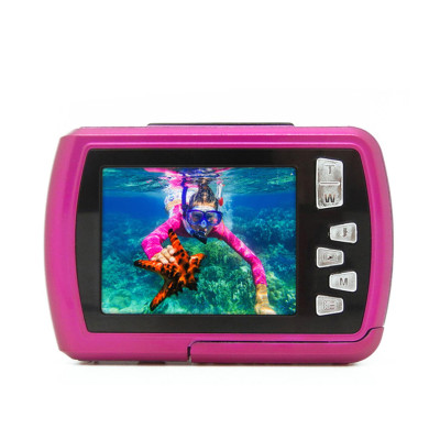 EasyPix Aquapix W2024-P Pink