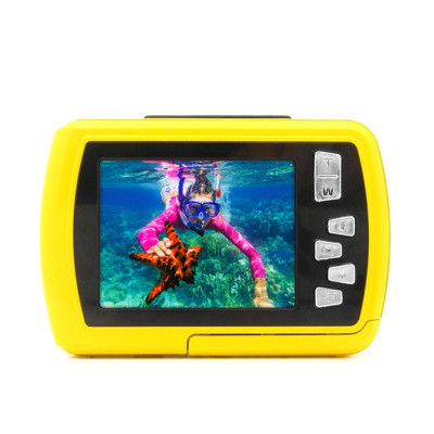 EasyPix Aquapix W2024-Y Yellow