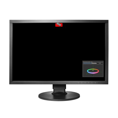 EIZO ColorEdge CG2420-BK