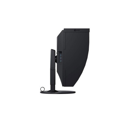 EIZO ColorEdge CG319X