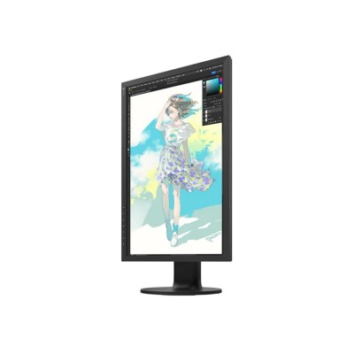 Eizo ColorEdge CS2400R ColorNavigator