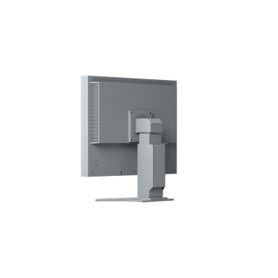 Eizo FlexScan S2133-GY