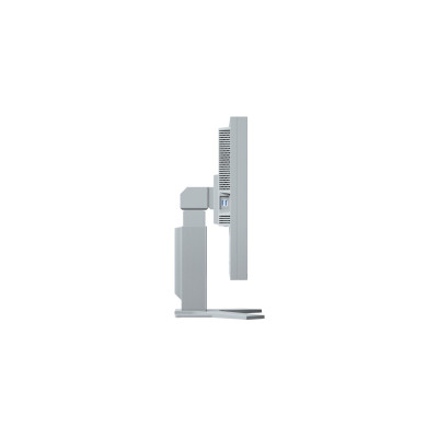 Eizo FlexScan S2133-GY