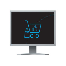 Eizo FlexScan S2133-GY