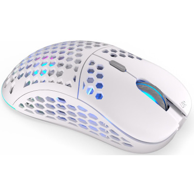 ENDORFY Lix Plus Wireless Onyx White (EY6A009)